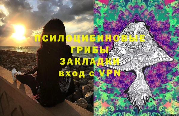 дмт Горнозаводск