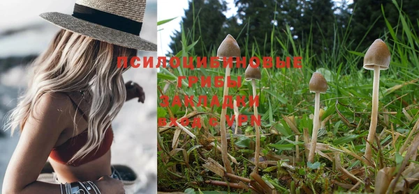 дмт Горнозаводск