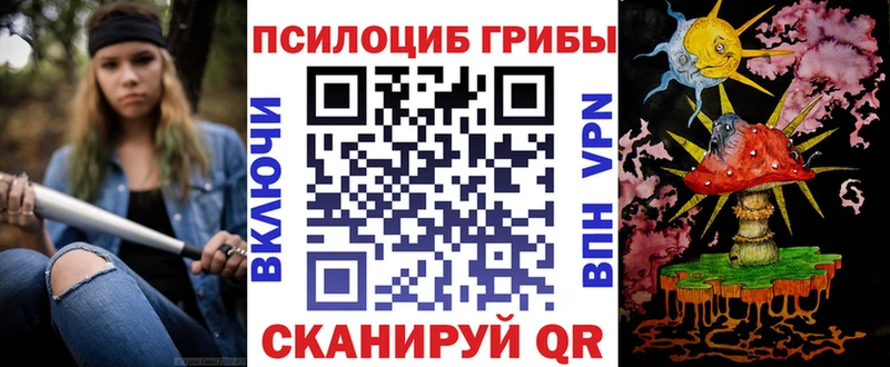 Псилоцибиновые грибы Psilocybe Гороховец