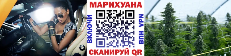 Конопля MAZAR  Гороховец 